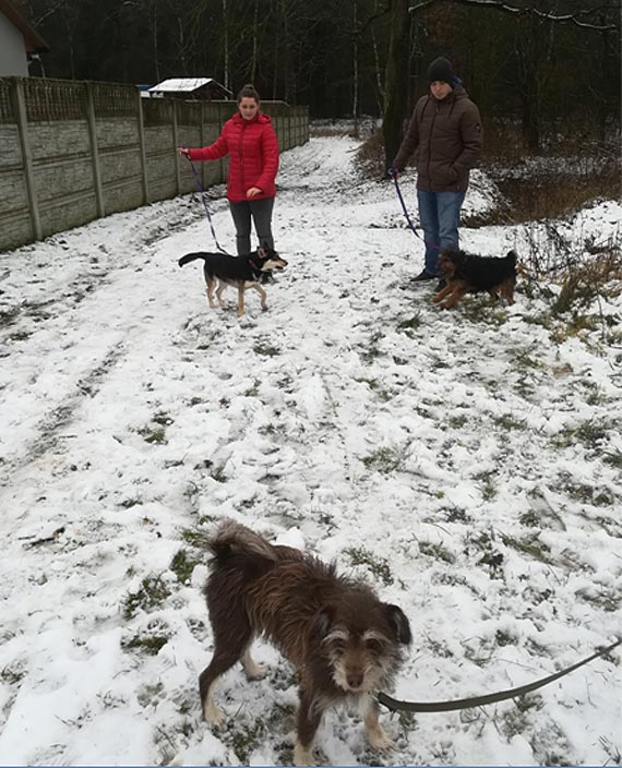Wyjazd uczniów ZS w Benicach do schroniska w Sosnowicach