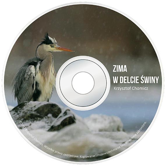 „Zima w delcie �winy” - we wtorek emisja filmu Krzysztofa Chomicza. Zobacz film!