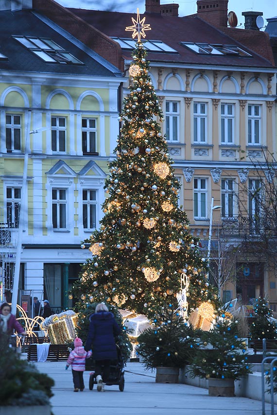 Magia świąt, choinka i urzędniczka ratusza...