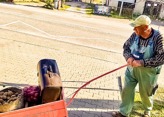 So�tysi �wierzna bez podwy�ek