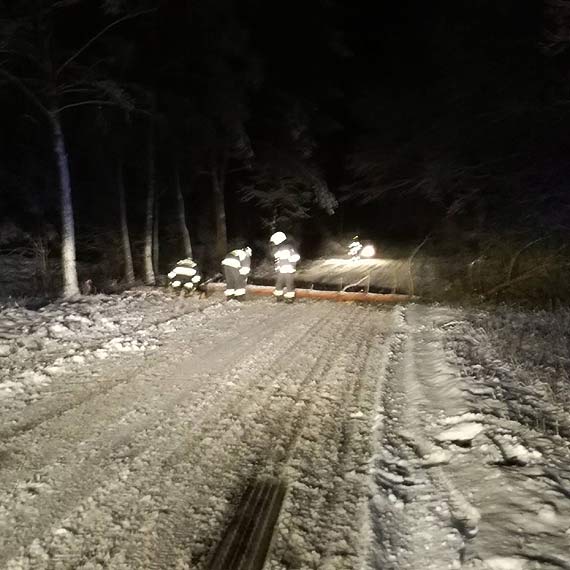 Drzewo niebezpiecznie zwisao nad jezdni. Do akcji ruszyli straacy!