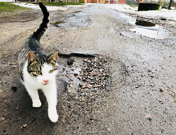 Gbokie wyrwy na drodze w wierznie