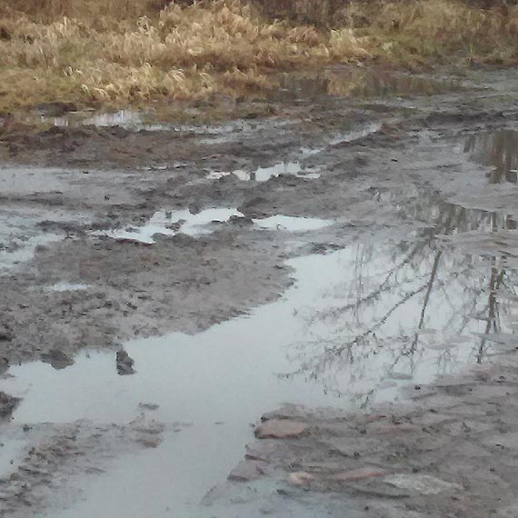 Droga Rekowo-Chynowo jest w większości nieprzejezdna. Mieszkańcy proszą o interwencję
