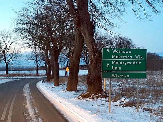 Spróchniałe drzewa zagrażają bezpieczeństwu mieszkańców. „Jeżeli komuś coś się stanie to odpowiedzialność biorą panowie starostowie”