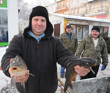Karp najczstsz potraw na wigilijnym stole