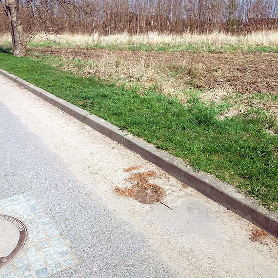 Kiedy i kto zamiata ulice na Osiedlu Chopina w Kamieniu Pomorskim?