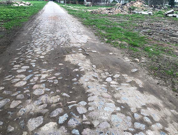 „Dzikie krlestwo” zomowisko w Ugorach?