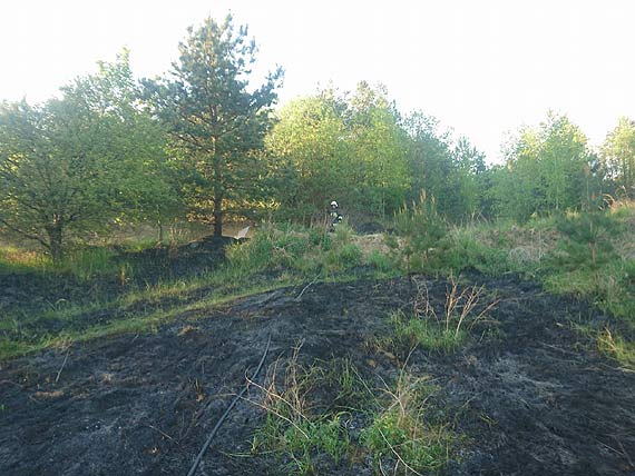 Podpalacze traw się uaktywnili