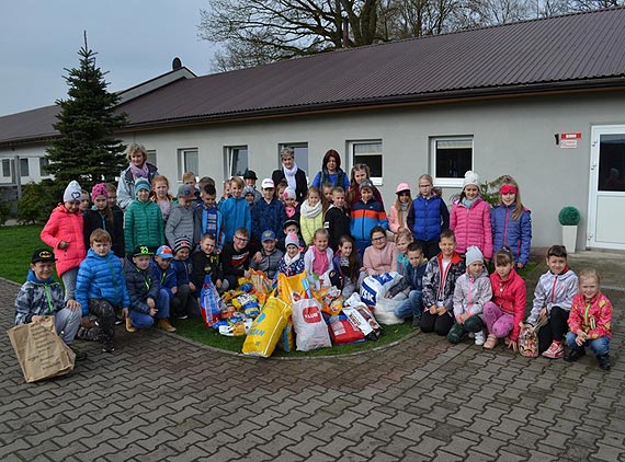 Wizyty w sosnowickim schronisku