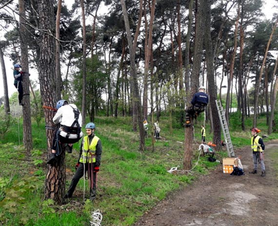 Uczniowie Technikum Le�nego wzi�li udzia� w kursie arborystycznym