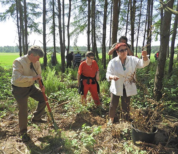 100 drzew na 100-lecie Niepodległości