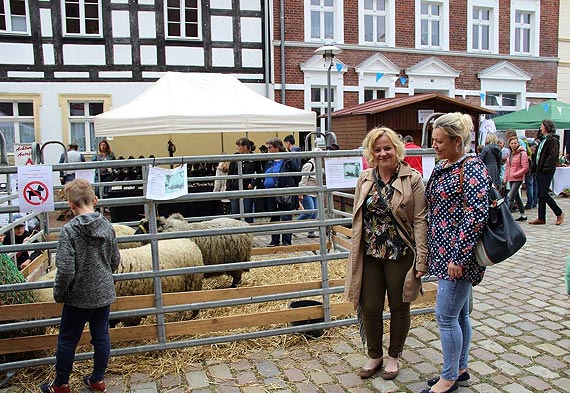 Z wizytą w Usedom podczas 16. Jarmarku Owczego