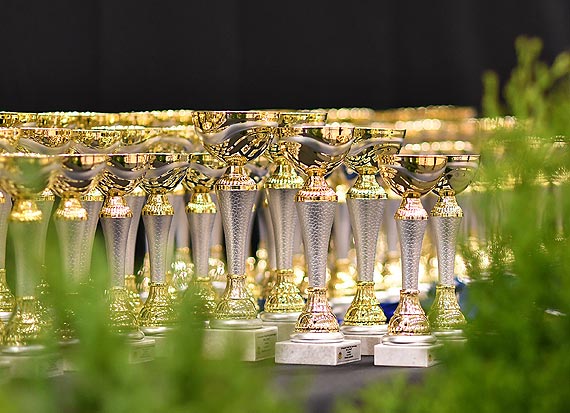 XII Soneczny Turniej Taca Sportowego