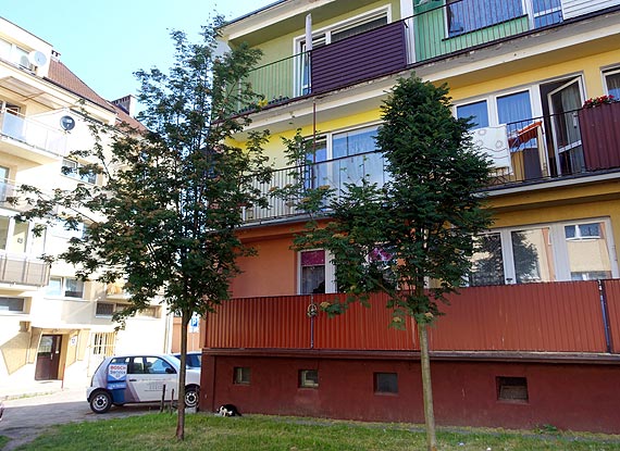 Czy kto pomoe mieszkacom ulicy Staromiejskiej 3