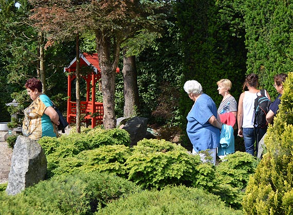 Seniorzy zakończyli projekt „Aktywni poza domem”