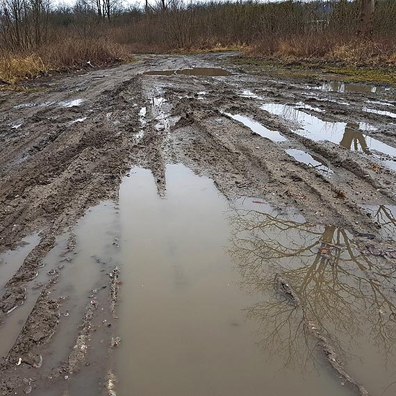 Dwanacie lat bezczynnoci burmistrza