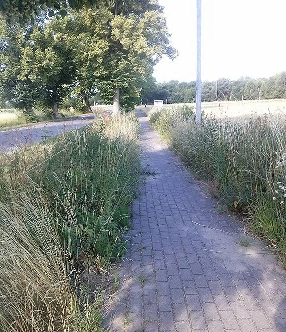 Gmina zapomnia�a o mieszka�cach Rzewnowa?