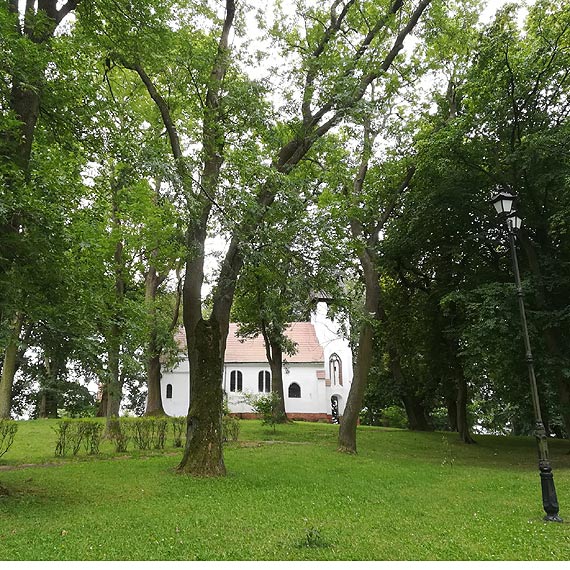 Mieszkacy Kamienia Pomorskiego nie chc zmian w wygldzie parku