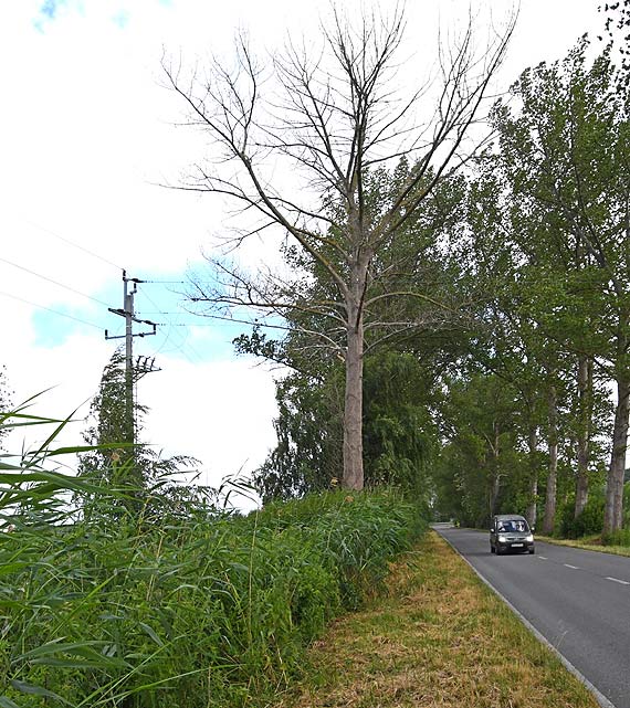 Droga niebezpieczna dla pieszych i rowerzystów