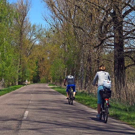 Droga niebezpieczna dla pieszych i rowerzystów