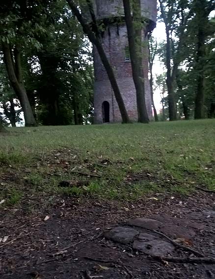 Zapomniane nowo�ytne fortyfikacje w Kamieniu Pomorskim