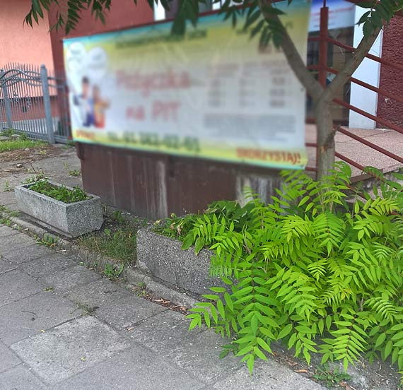 Ponadczasowe śmietniki w Kamieniu Pomorskim pamiętają czasy PRL-u