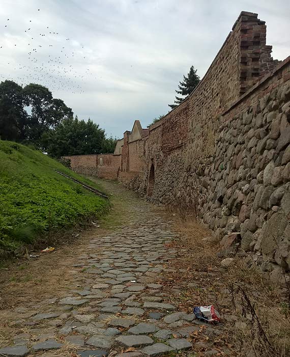 Śmietnisko przesłania główne atrakcje Kamienia Pomorskiego