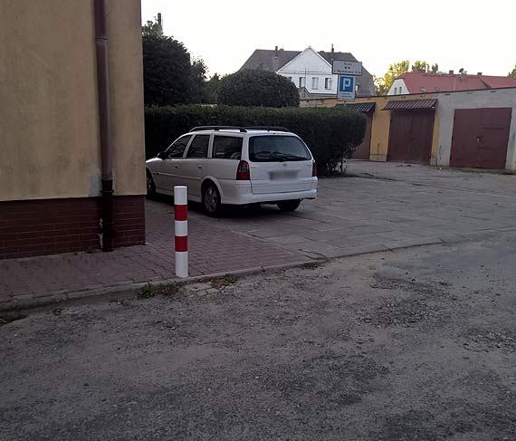 Z cyklu „Okiem pana Marcina”- Dzikie chodniki w Kamieniu Pomorskim