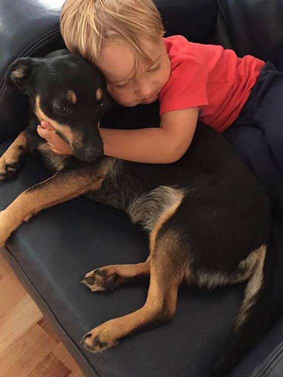 W�a�ciciele zaginionej suczki prosz� o pomoc w jej odnalezieniu