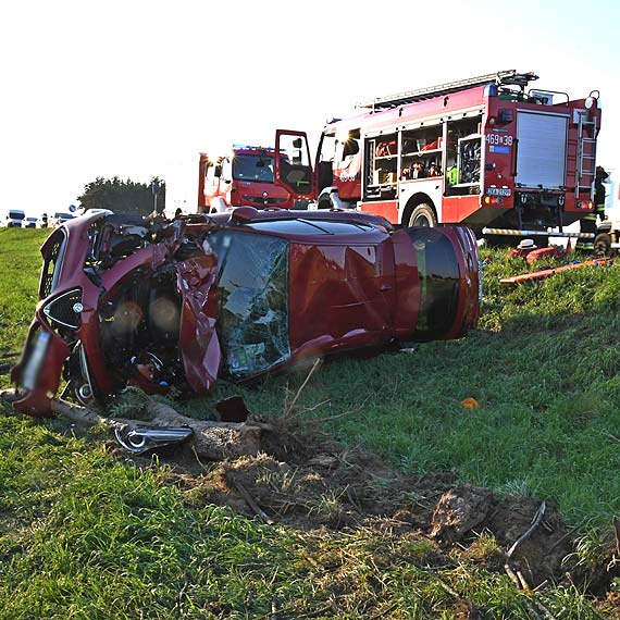 Alfa Romeo dachowała przed Dargobądzem, jej kierowca ocknął się w rowie 10 km od celu podróży