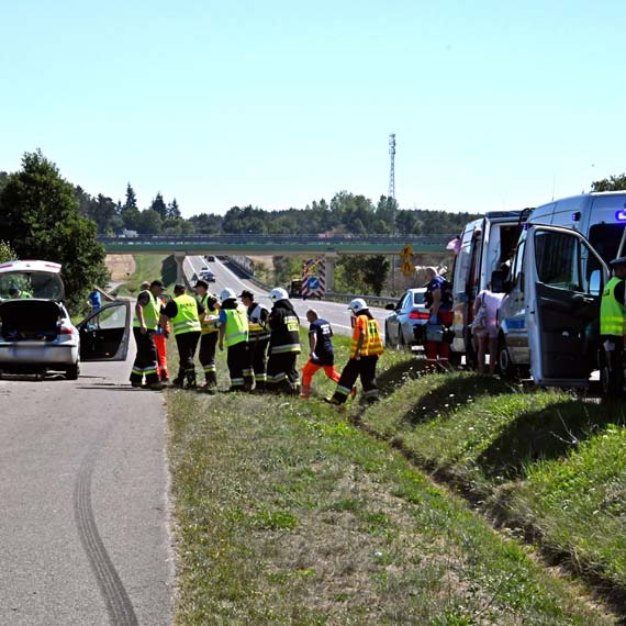 Na szos wyskoczya sarna - wypadek na DK3