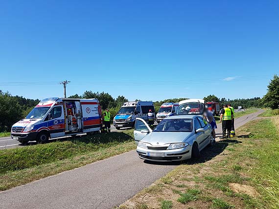 Na szos wyskoczya sarna - wypadek na DK3