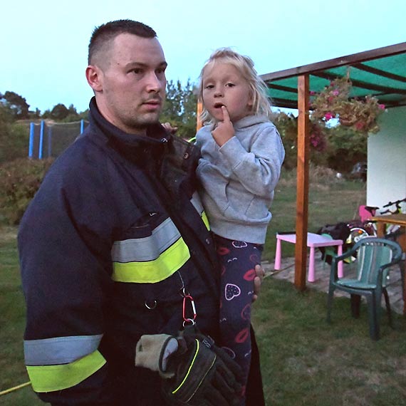 Od kwietnia trwają upały. Osy i szerszenie są mocno rozdrażnione
