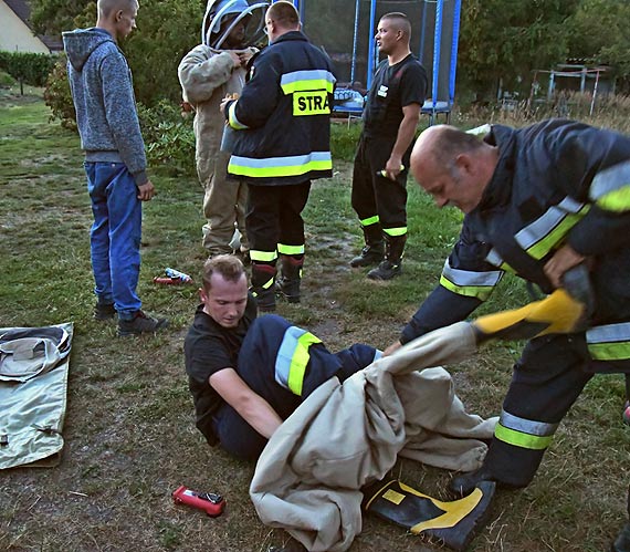 Od kwietnia trwają upały. Osy i szerszenie są mocno rozdrażnione