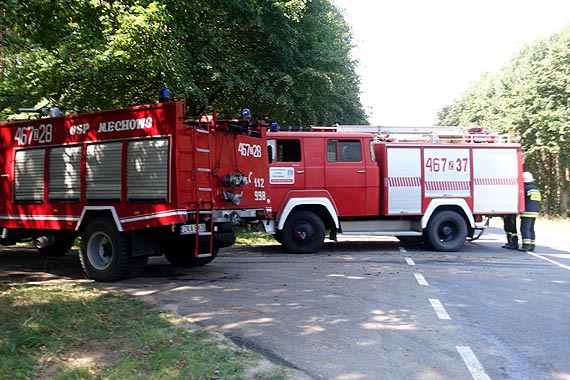 Pożar lasu w gminie Świerzno