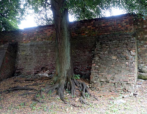 W Kamieniu Pomorskim nawet mury obronne się sypią