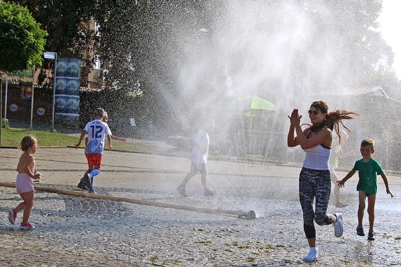 Piknik Rodzinny na Kamieskiej Marinie pod hasem: Sport I Rodzina