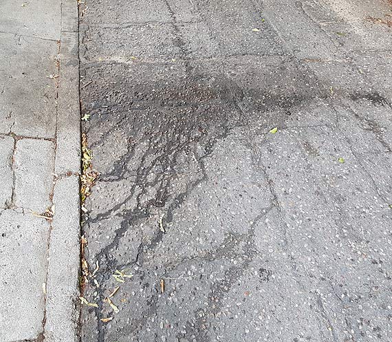 mierdzcy problem w Midzyzdrojach - cae miasto cuchnie odpadami!