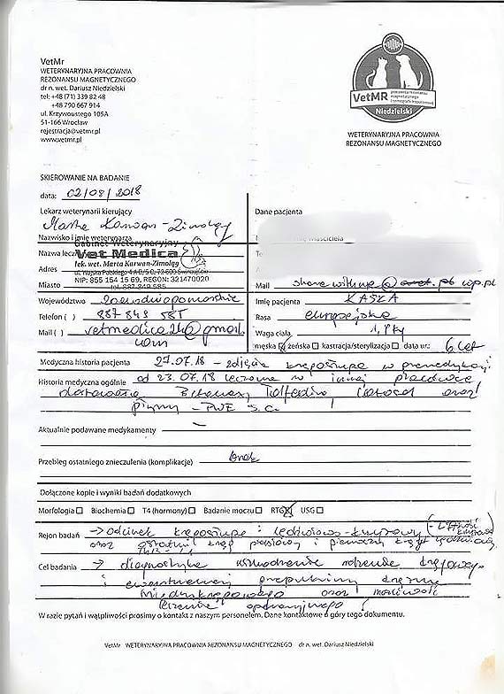 Kotka Kasia nadal oczekuje pomocy