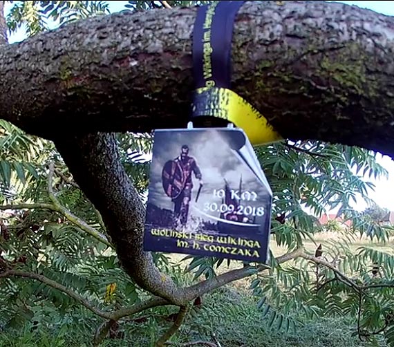 Bieg Wikinga im Henryka Tomczaka. Zobacz film!