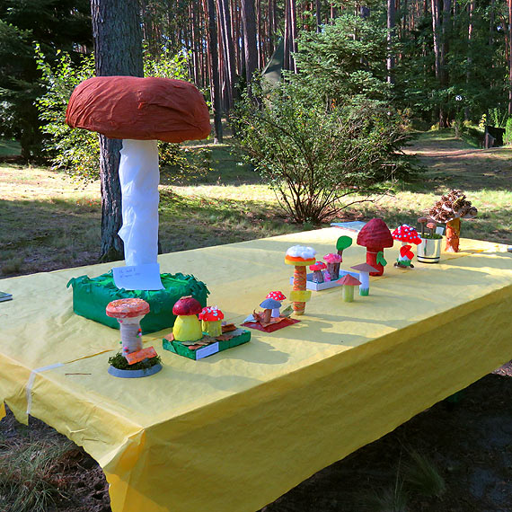 Nadleśnictwo Międzyzdroje oraz Woliński Park Narodowy zapraszają na Grzybobranie 2018 i konkurs plastyczny Ekogrzyb 3D