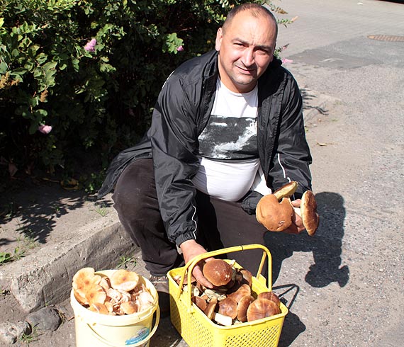 Mówią że nie ma grzybów!