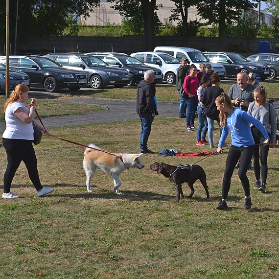 W Kamieniu Pomorskim odby si VI Psi Festyn. Zobacz fotogaleri!