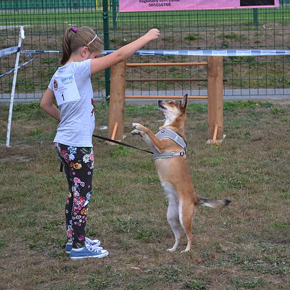 W Kamieniu Pomorskim odbył się VI Psi Festyn. Zobacz fotogalerię!