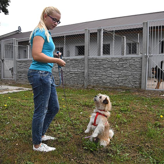 Dobra współpraca ze Schroniskiem dla Bezdomnych Zwierząt w Sosnowicach