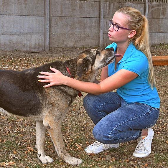 Dobra wsp�praca ze Schroniskiem dla Bezdomnych Zwierz�t w Sosnowicach