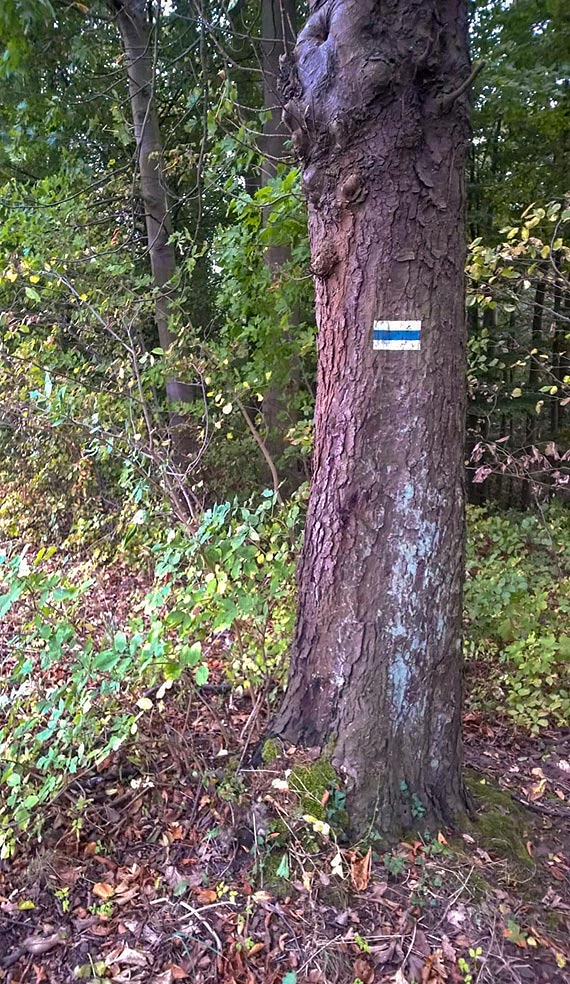 Kamień Cesarza Wilhelma II w Kamieniu Pomorskim i dzikie śmietniska na szlakach turystycznych