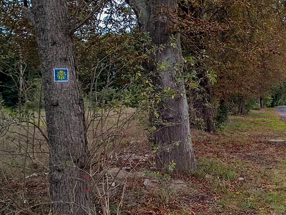 Kamień Cesarza Wilhelma II w Kamieniu Pomorskim i dzikie śmietniska na szlakach turystycznych