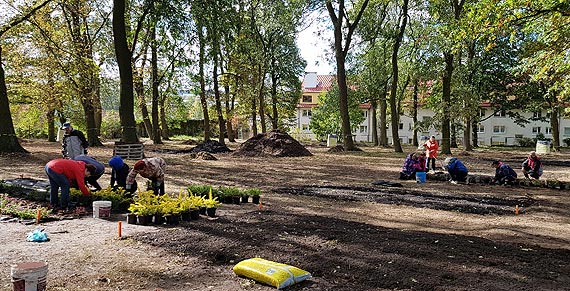 Wolontariat UTW w Parku 28-29.09.2018