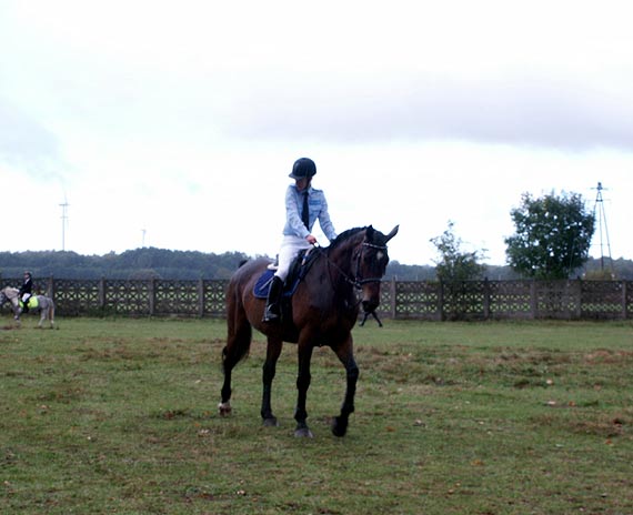 Osiemdziesiąt koni startowało w skokach przez przeszkody w Benicach
